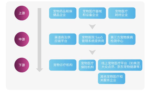 中獸醫(yī)如何撬動(dòng)百億消費(fèi)醫(yī)療市場(chǎng) 獸醫(yī)器具的創(chuàng)新與機(jī)遇