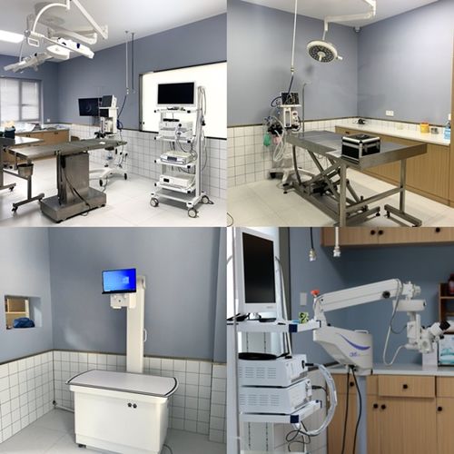 重量級(jí)寵物醫(yī)院今日盛大開(kāi)業(yè)，湖南仁才動(dòng)物醫(yī)院再啟航