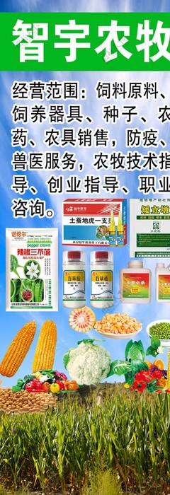專業獸醫工具圖鑒 編號26937282素材的深度解讀與應用