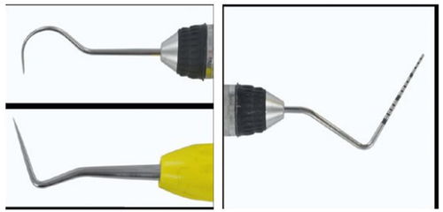 高清圖解獸醫牙科常用器械大全及使用注意事項